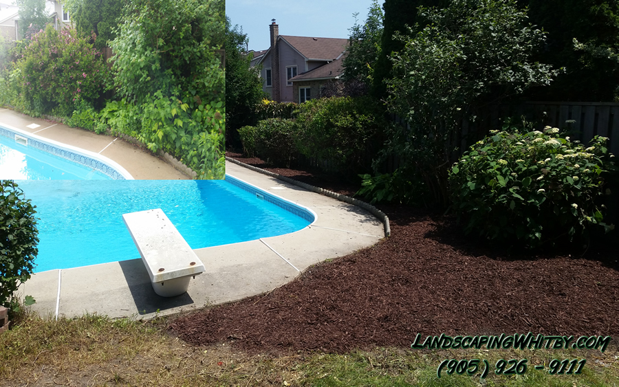 Garden Bed Clean-Up Mulch Gardener
